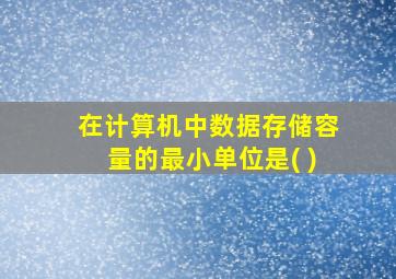 在计算机中数据存储容量的最小单位是( )